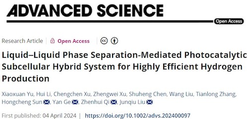 刘俊秋教授团队Advancedscience上发表液-液相分离介导的光催化亚细胞杂化系统用于高效制氢