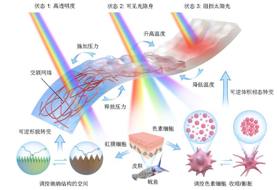 哈工大能源学院帅永教授团队突破快速隐身及智能光控难题