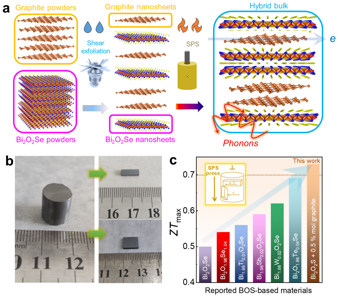 《AdvancedFunctionalMaterials》发表王一峰教授...