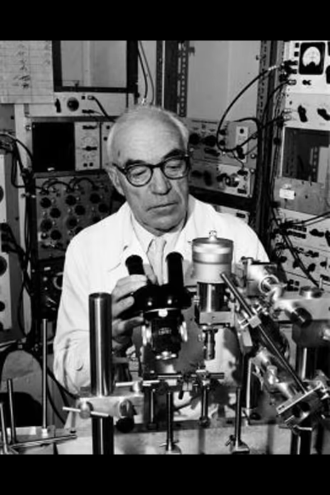 约翰·卡鲁·埃克尔斯爵士