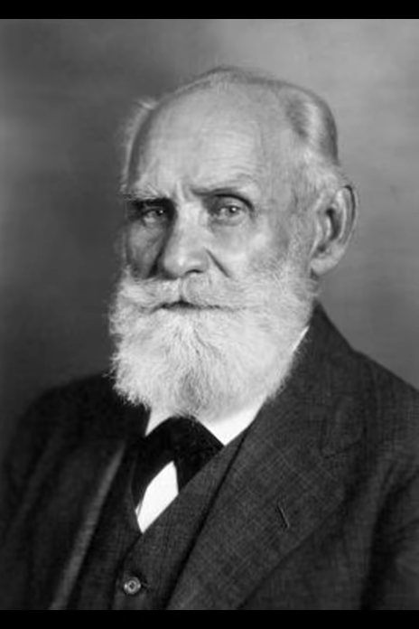 伊万·彼得罗维奇·巴甫洛夫