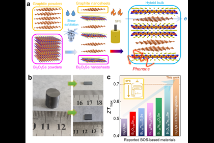 《AdvancedFunctionalMaterials》发表王一峰教授...