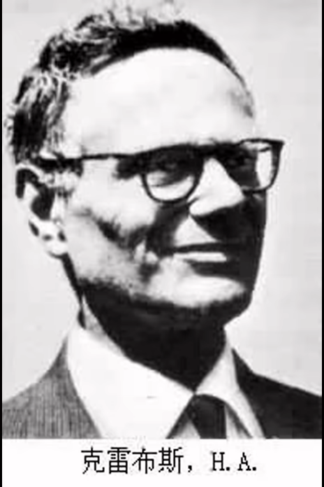 汉斯·阿道夫·克雷布斯