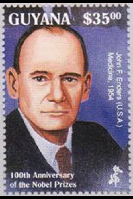 约翰·富兰克林·恩德斯