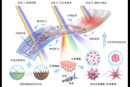 哈工大能源学院帅永教授团队突破快速隐身及智能光控难题