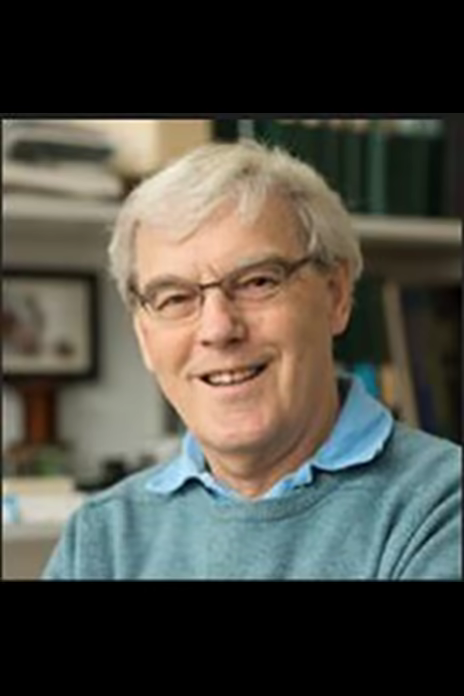 理查德·亨德森