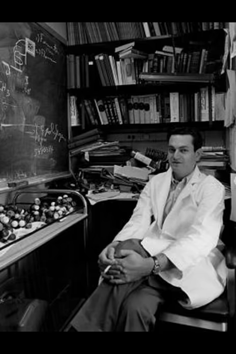 马歇尔·沃伦·尼伦伯格