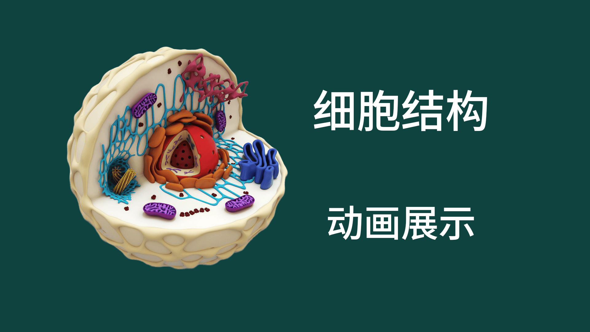 细胞结构