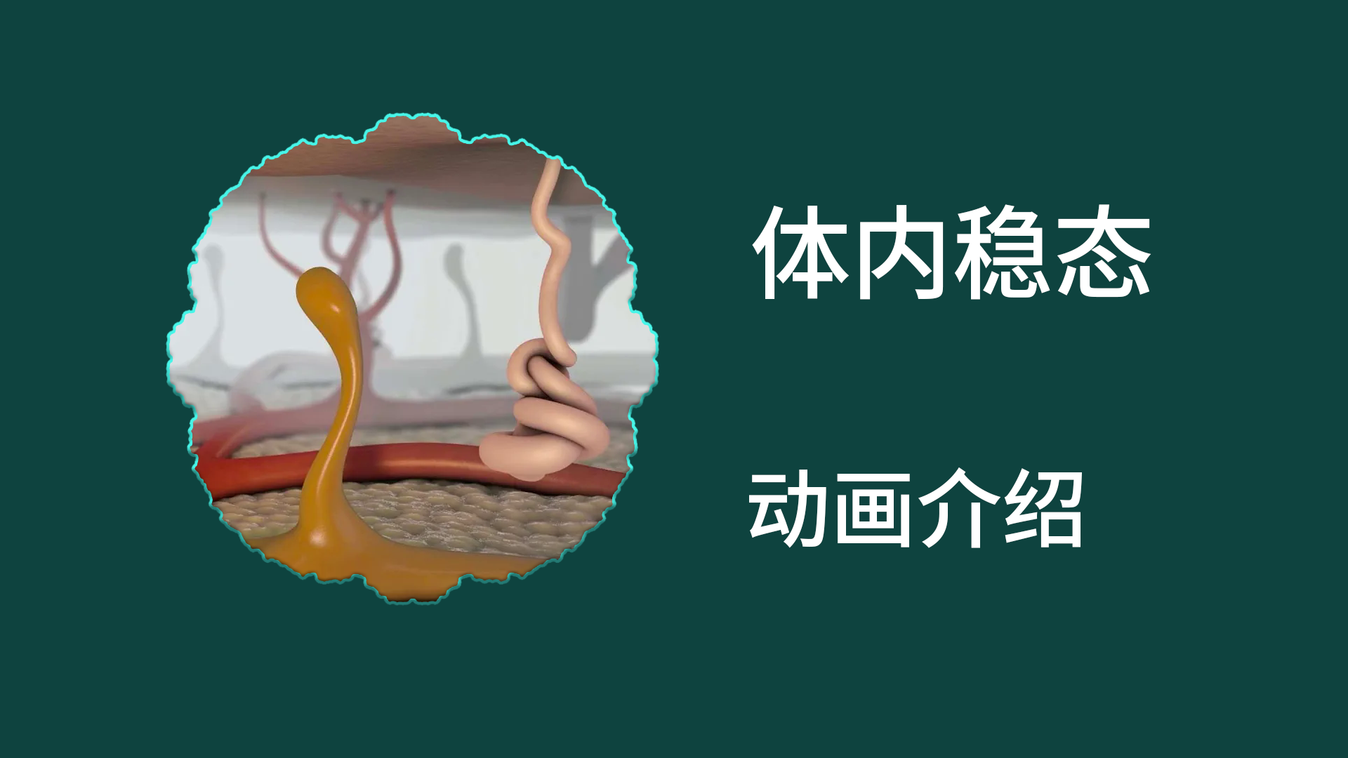 稳态