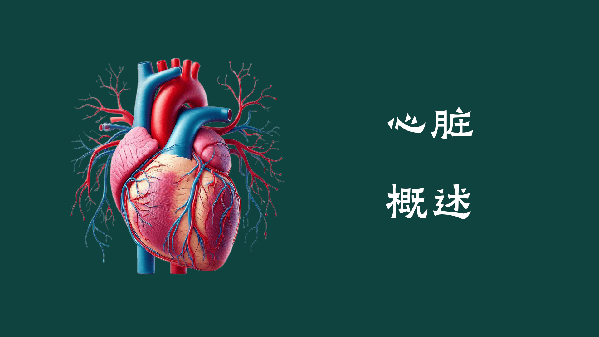 心脏