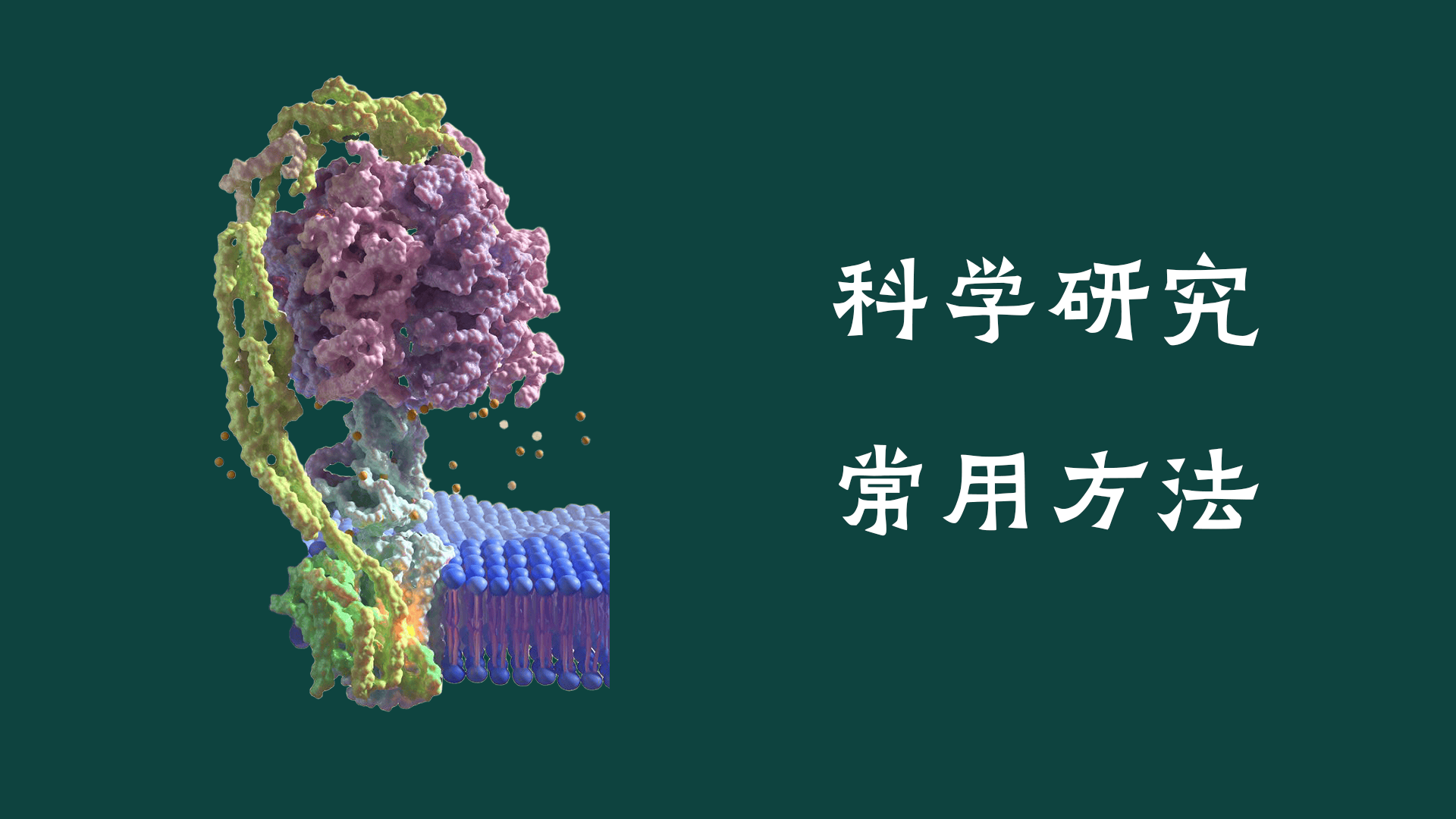 科学研究方法