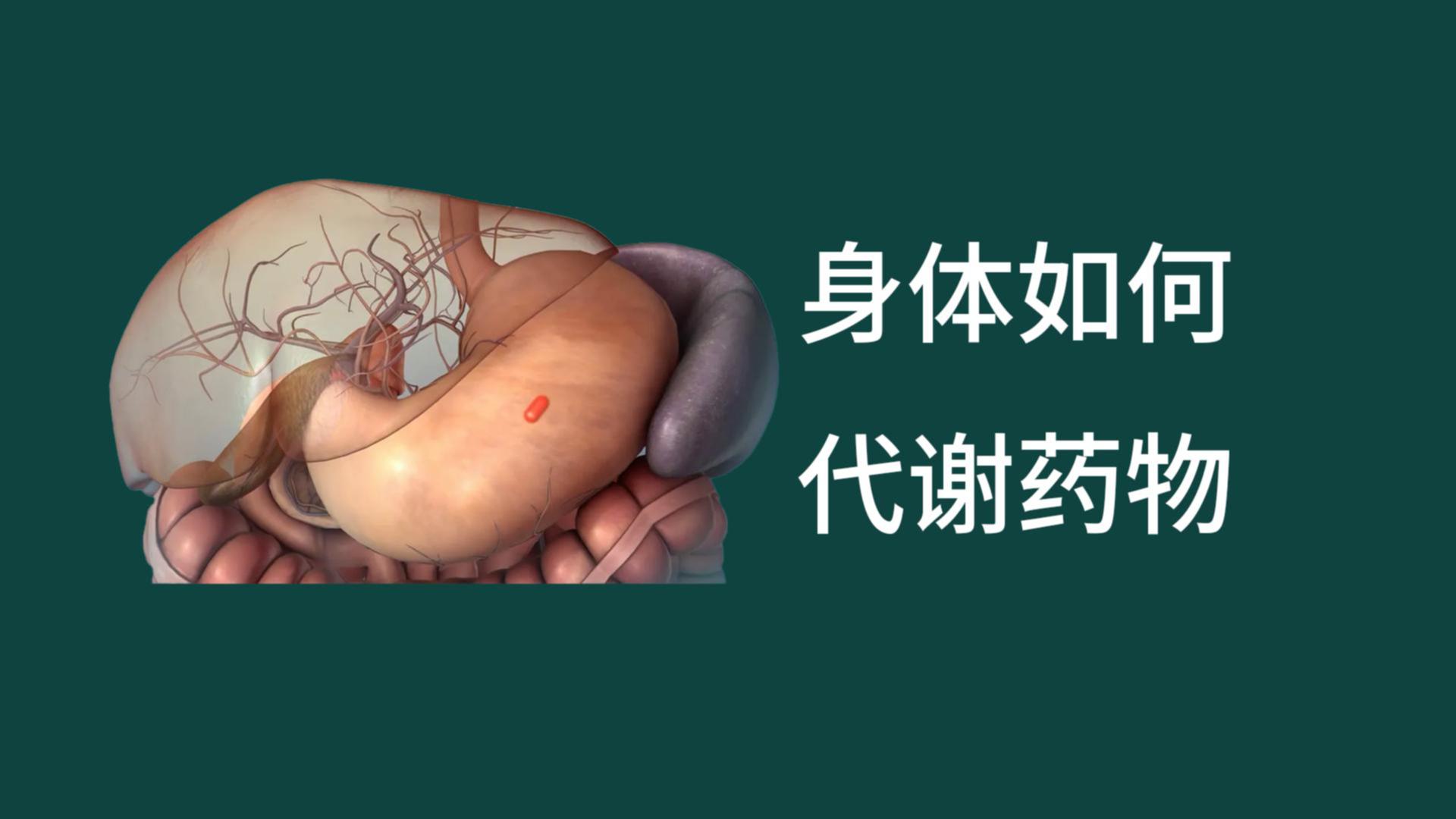 药物代谢