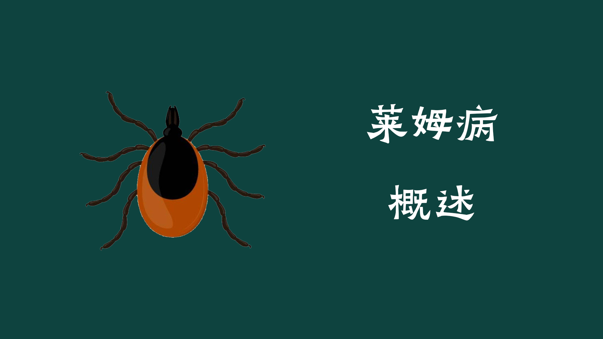 莱姆病